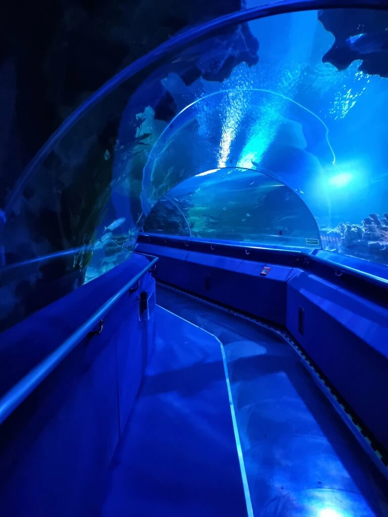 Aquaria KLCC — galeri 2