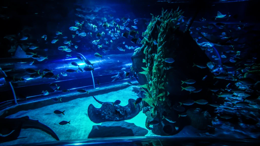 Aquaria KLCC — galeri 4