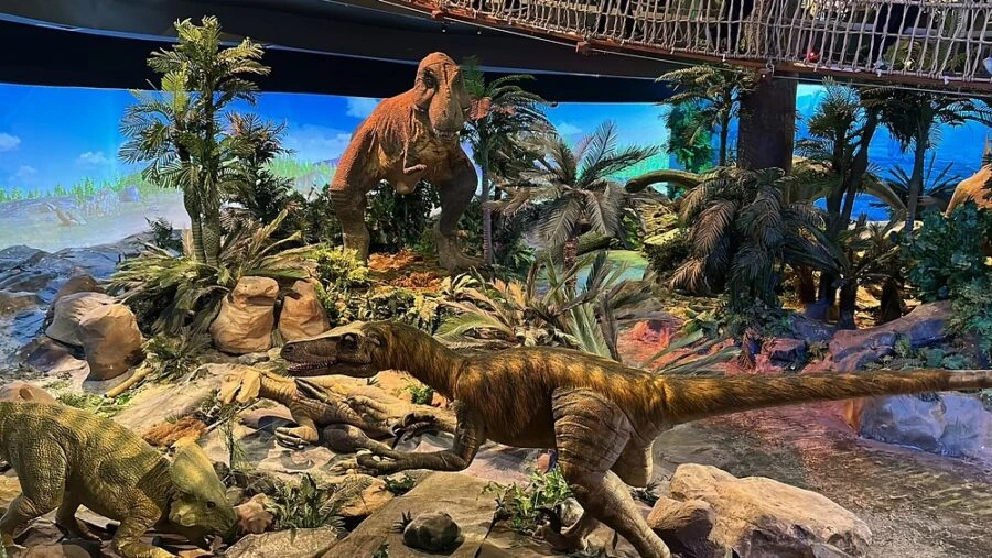 Petrosains, The Discovery Centre — galeri 3