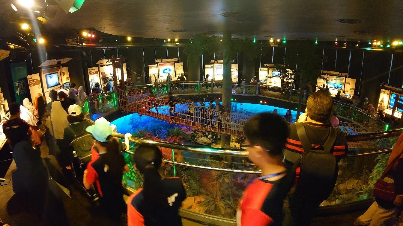 Petrosains, The Discovery Centre — galeri 2