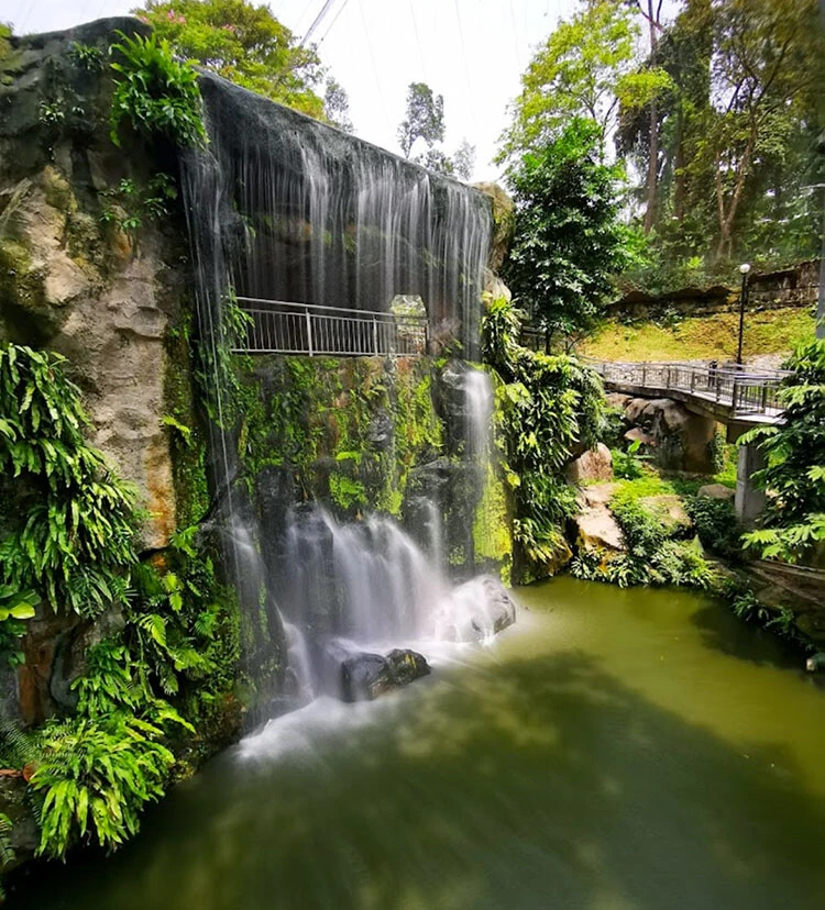 Taman Botani Perdana — galeri 3