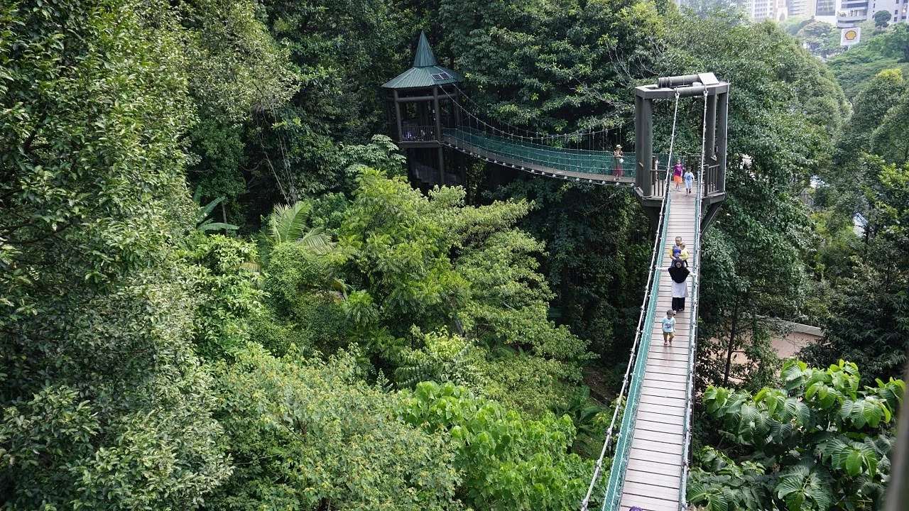 KL Forest Eco Park — galeri 3
