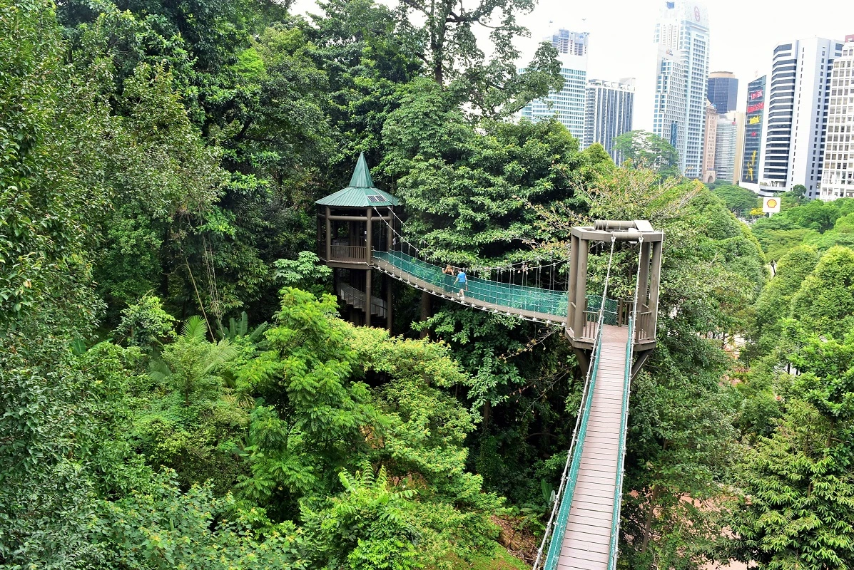 KL Forest Eco Park — galeri 2