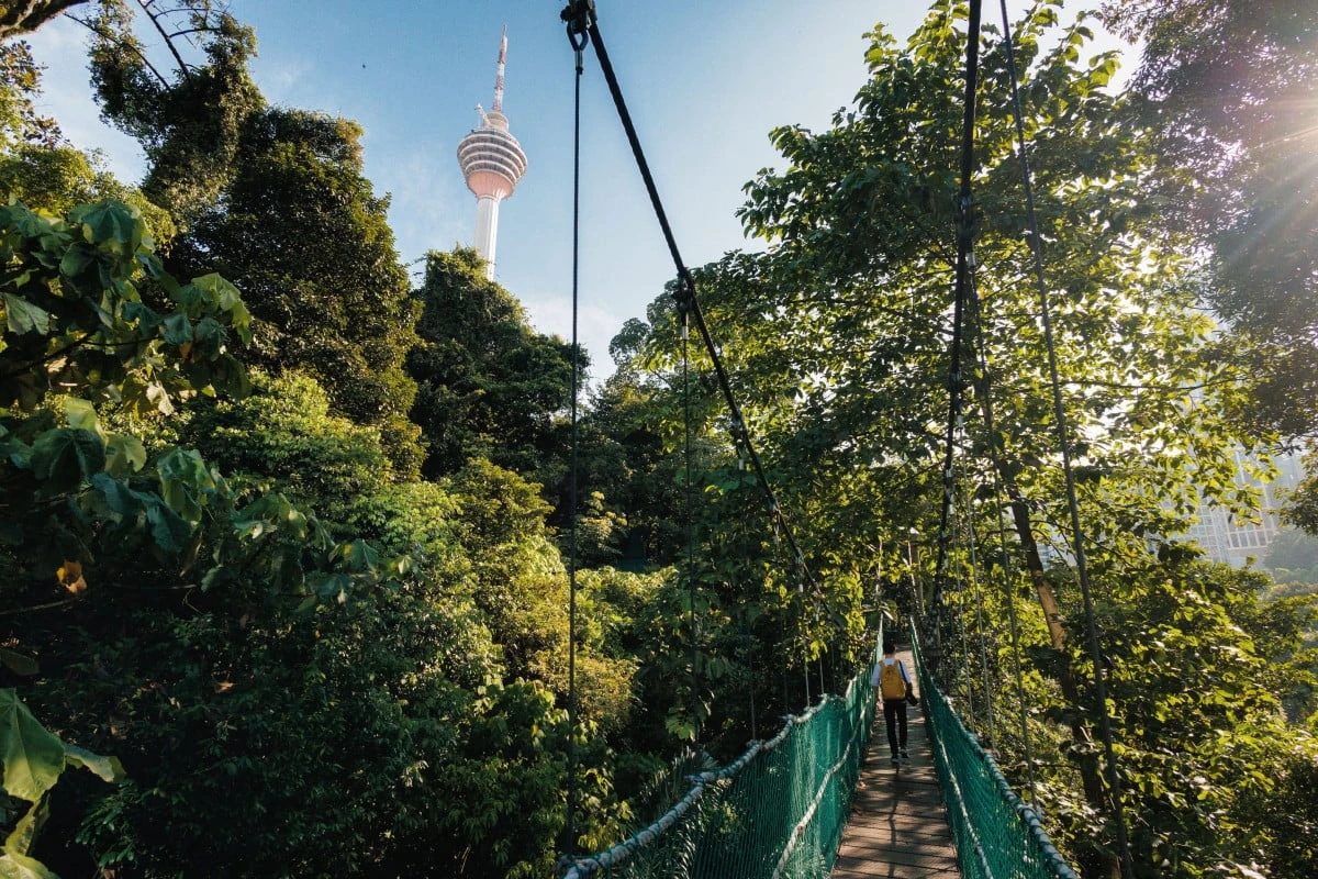 KL Forest Eco Park — galeri 4