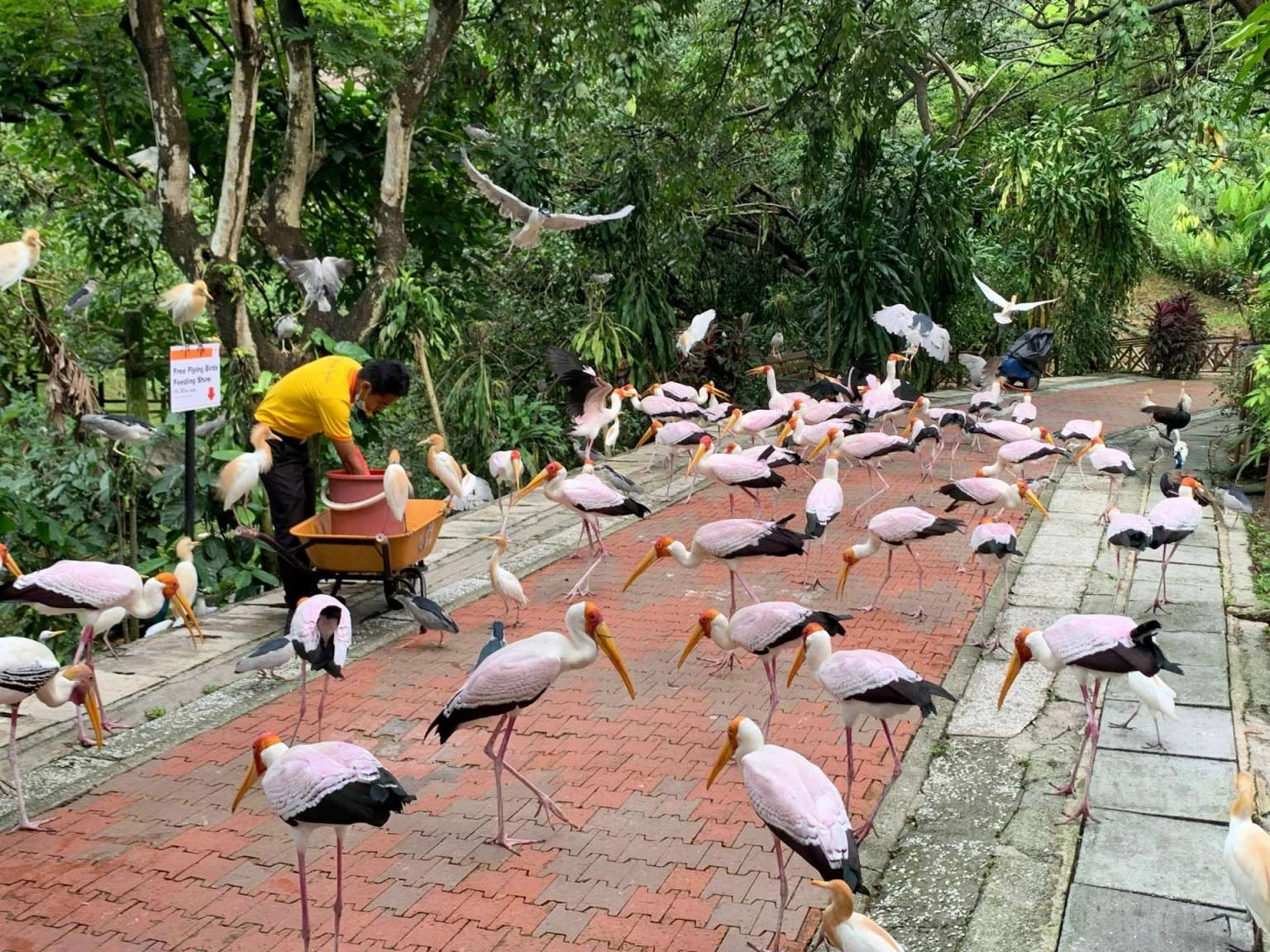 Gambar Kuala Lumpur Bird Park