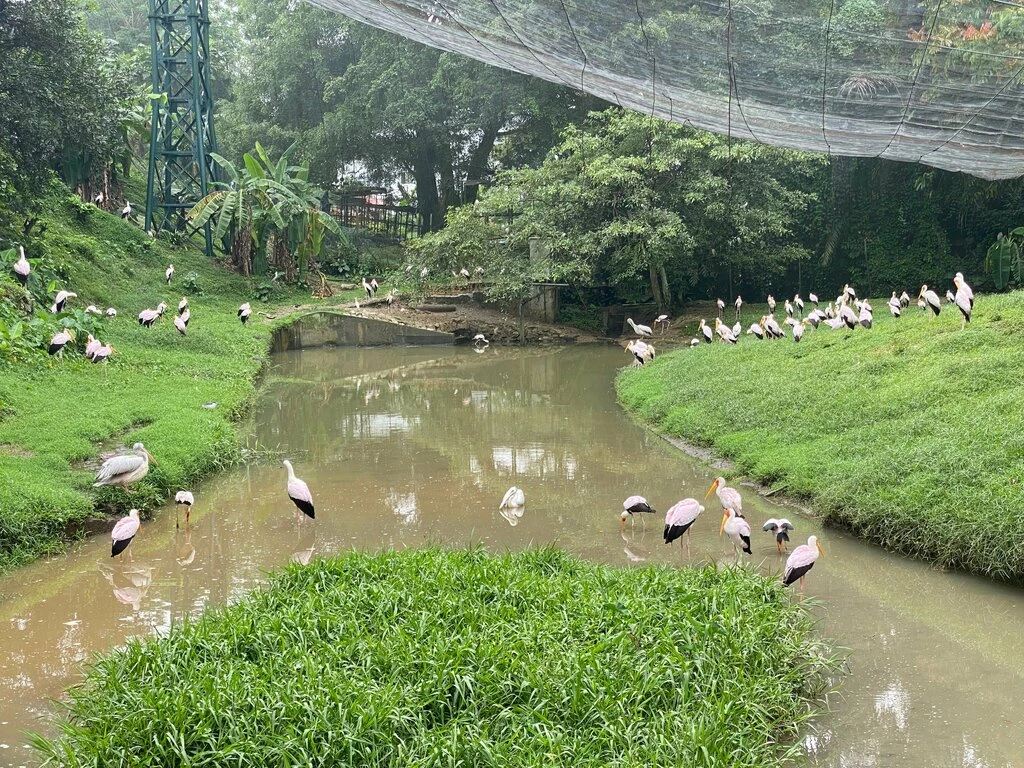 Kuala Lumpur Bird Park — galeri 4
