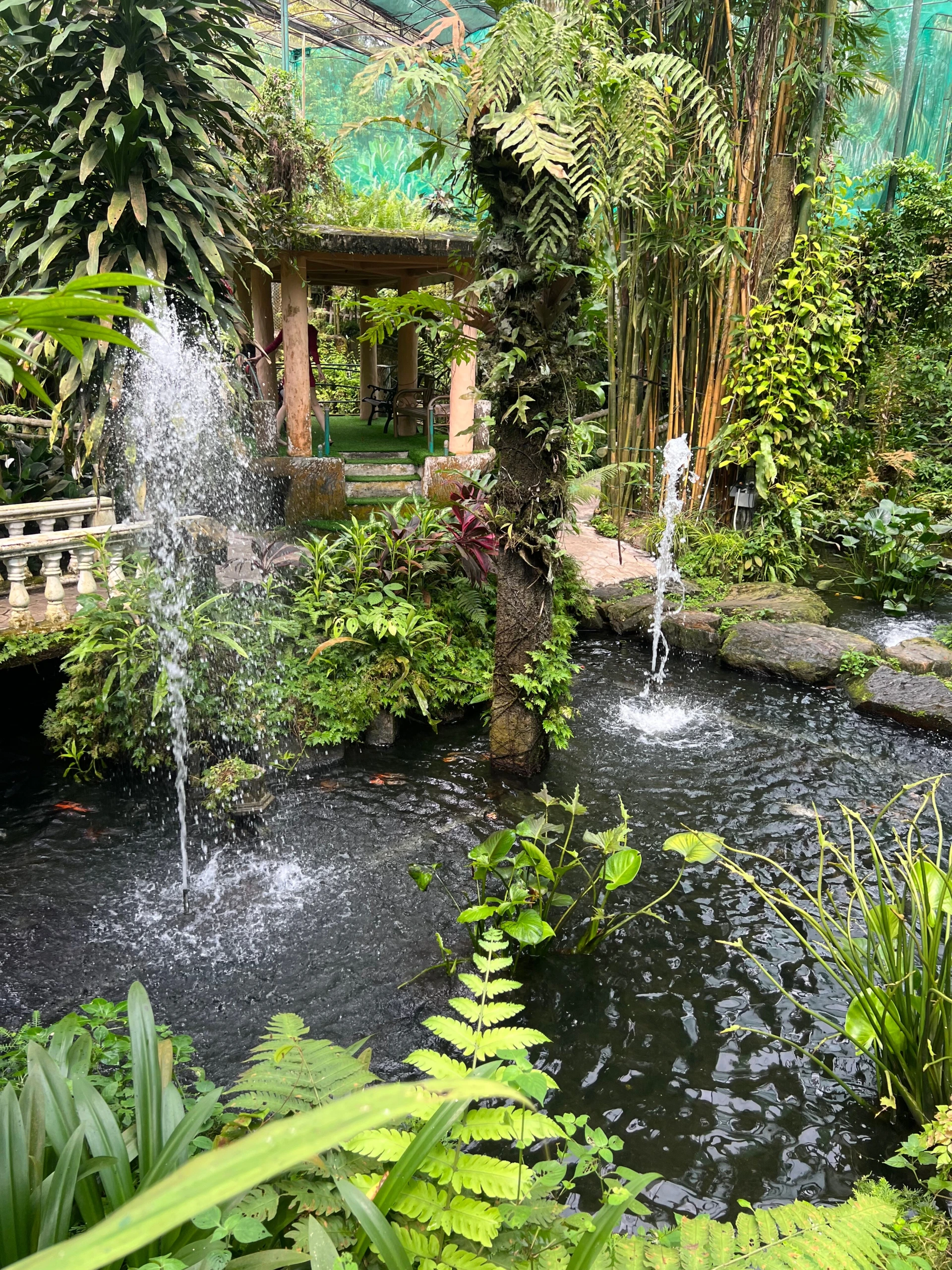 Gambar Kuala Lumpur Butterfly Park