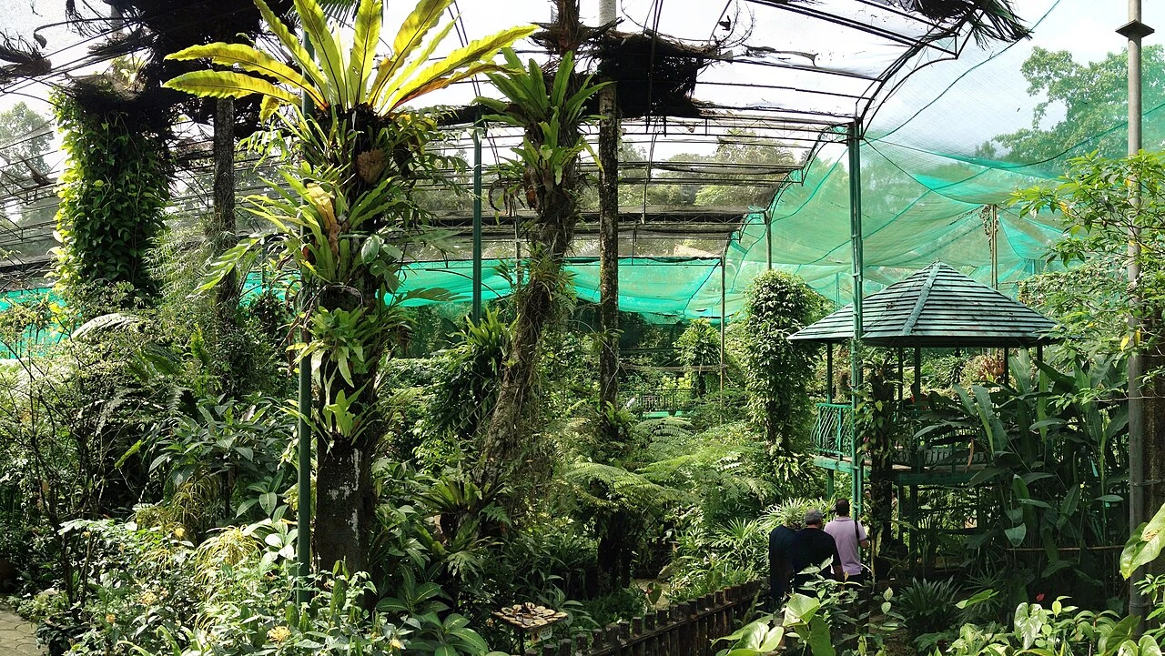 Kuala Lumpur Butterfly Park — galeri 2