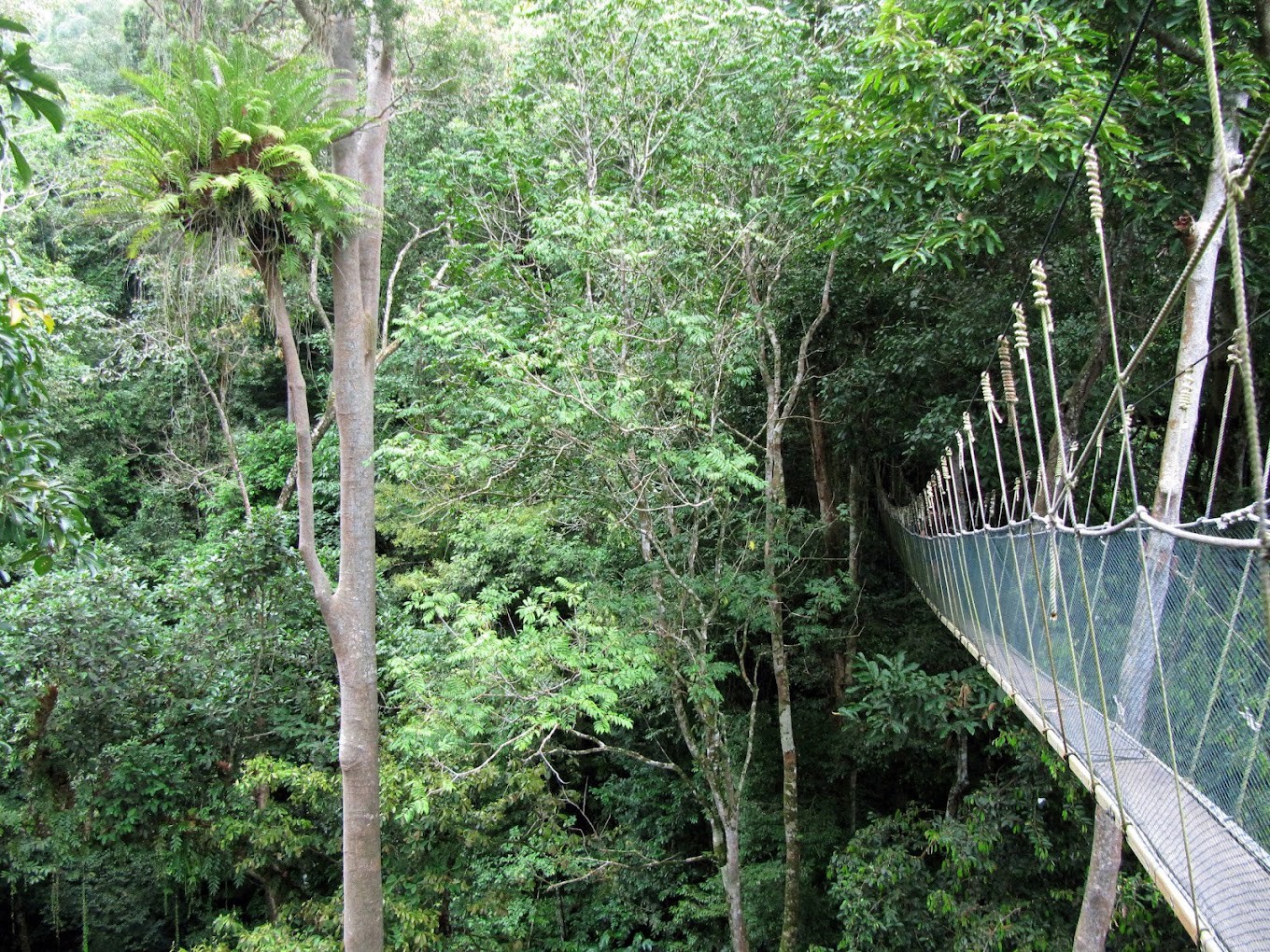 Gambar galeri Air Terjun Kipungit
