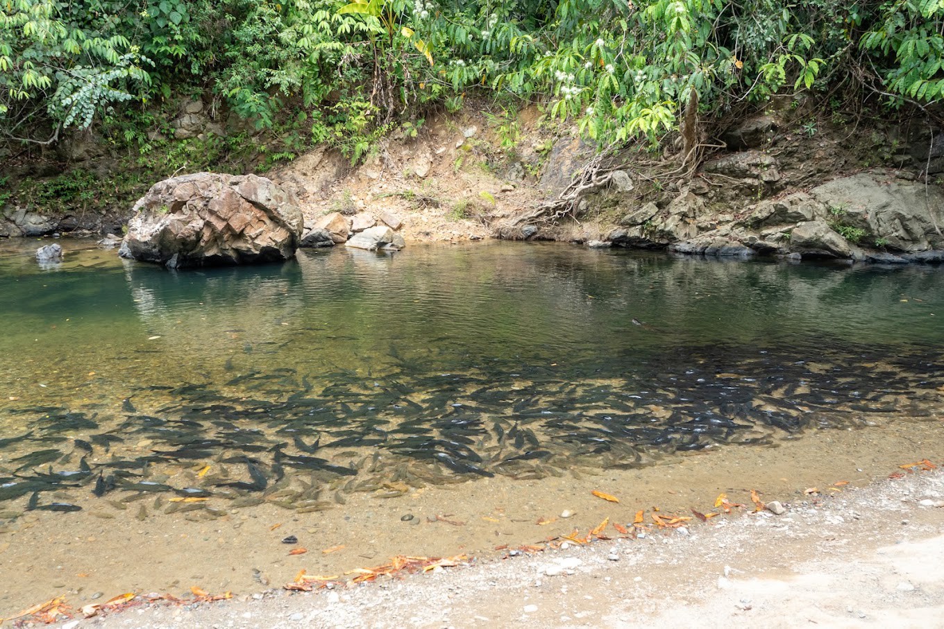 Gambar galeri Tagal Luanti River