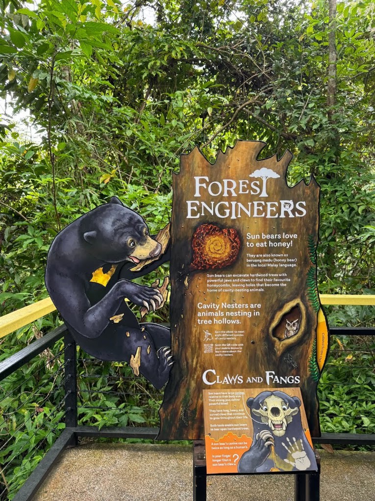 Gambar galeri Bornean Sun Bear Conservation Centre