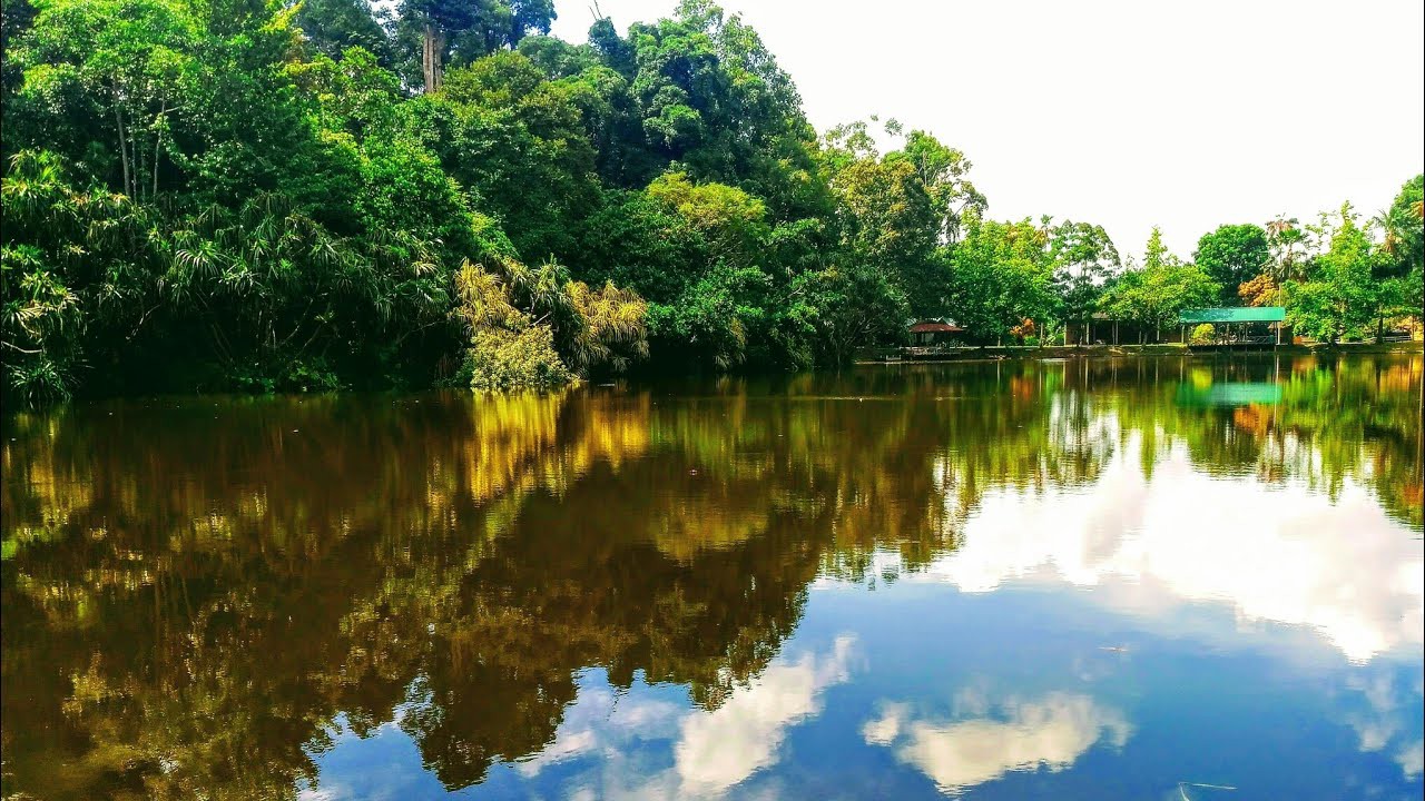 Rainforest Discovery Centre — galeri 2