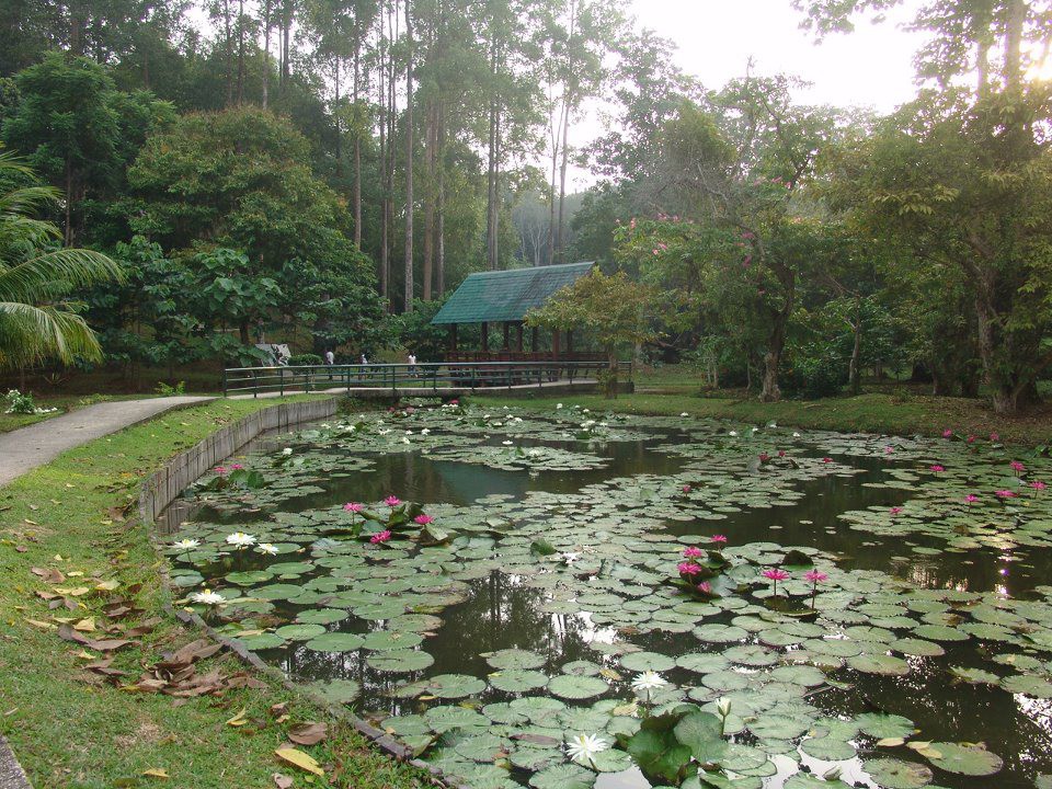 Gambar galeri Taman Peringatan Sandakan
