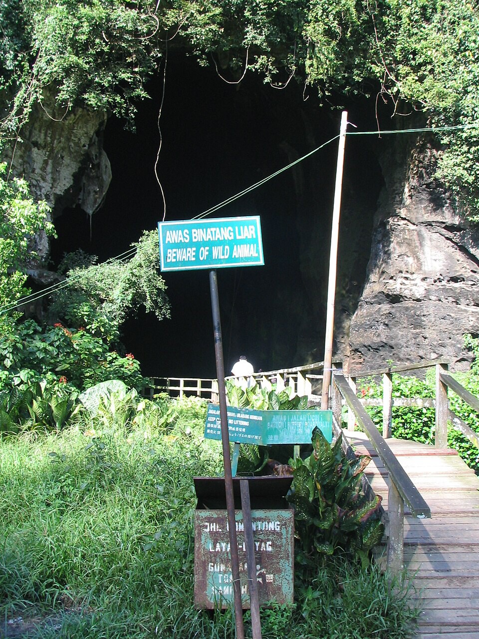 Gua Gomantong — galeri 2