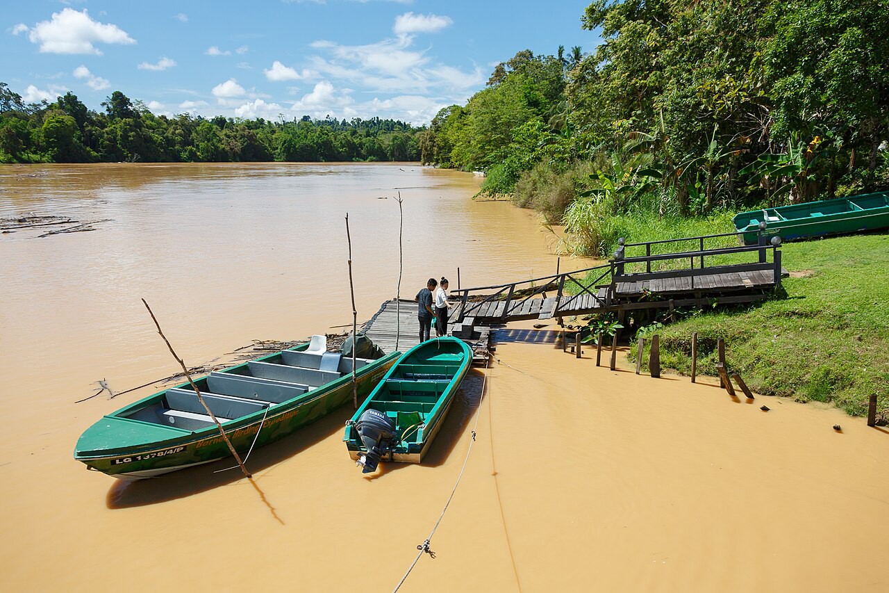 Sungai Kinabatangan — galeri 3
