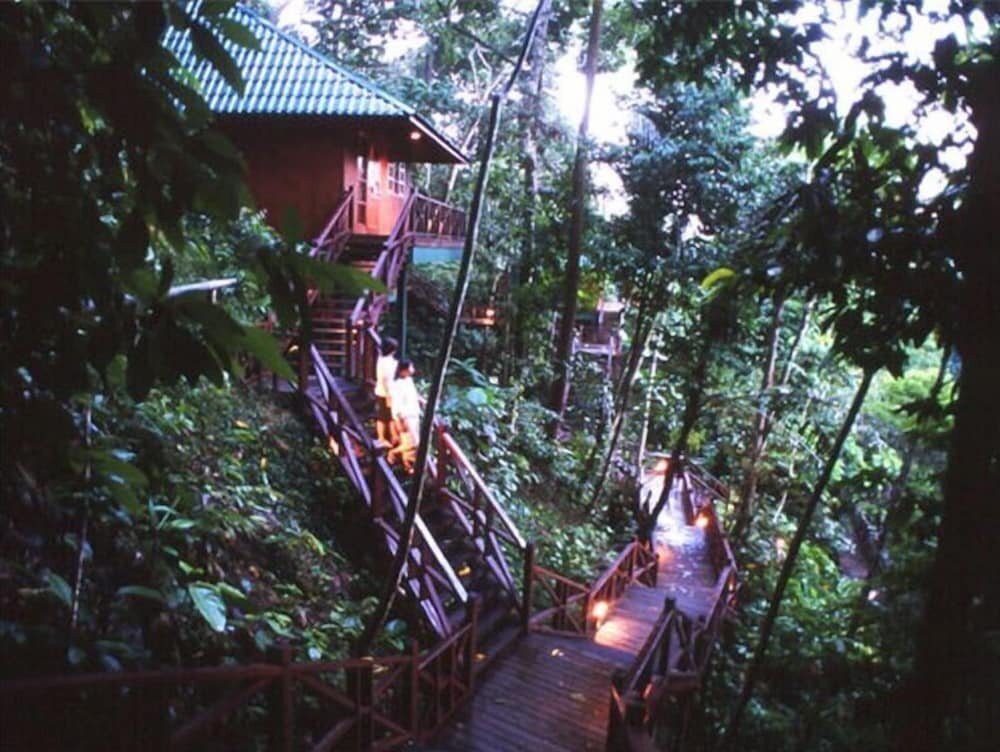 Tabin Wildlife Reserve — galeri 2