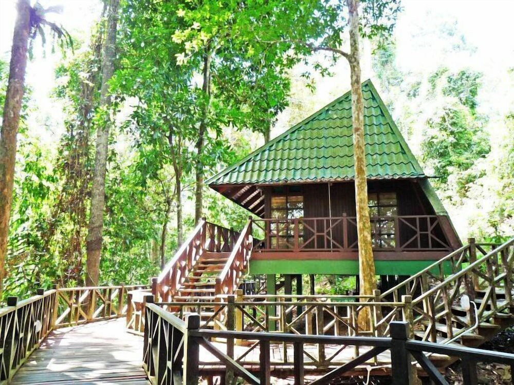 Tabin Wildlife Reserve — galeri 3