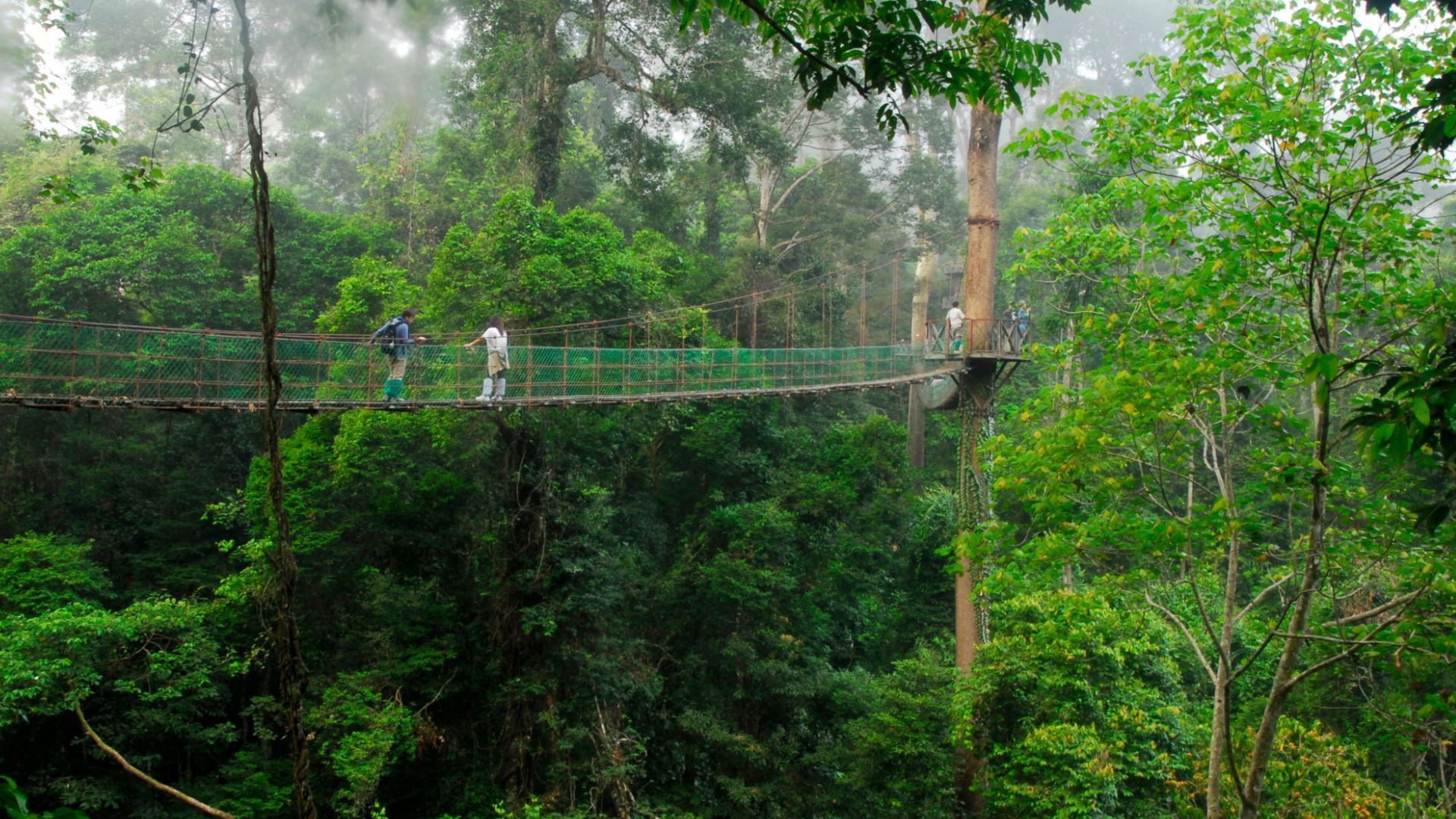 Danum Valley Conservation Area — galeri 2