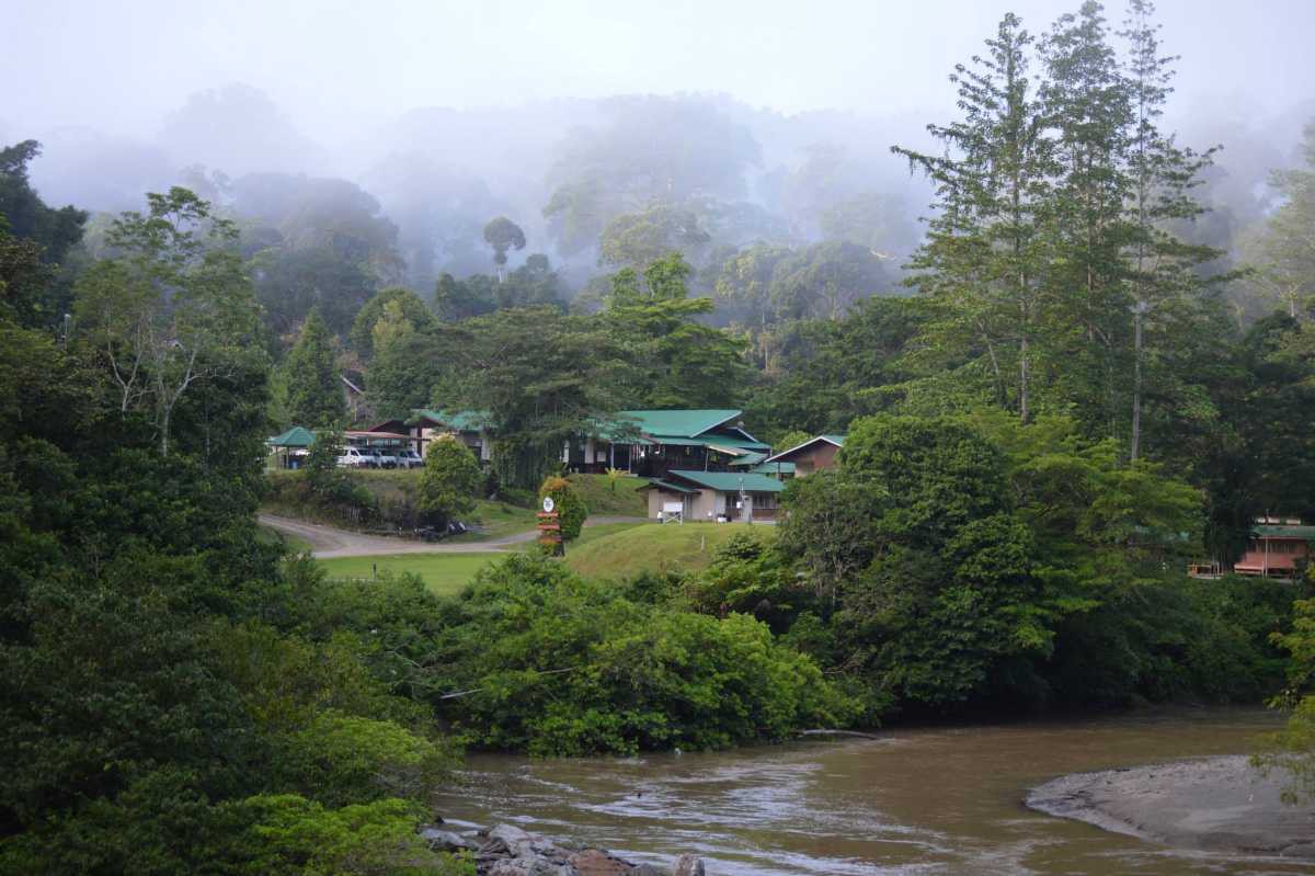 Danum Valley Conservation Area — galeri 3