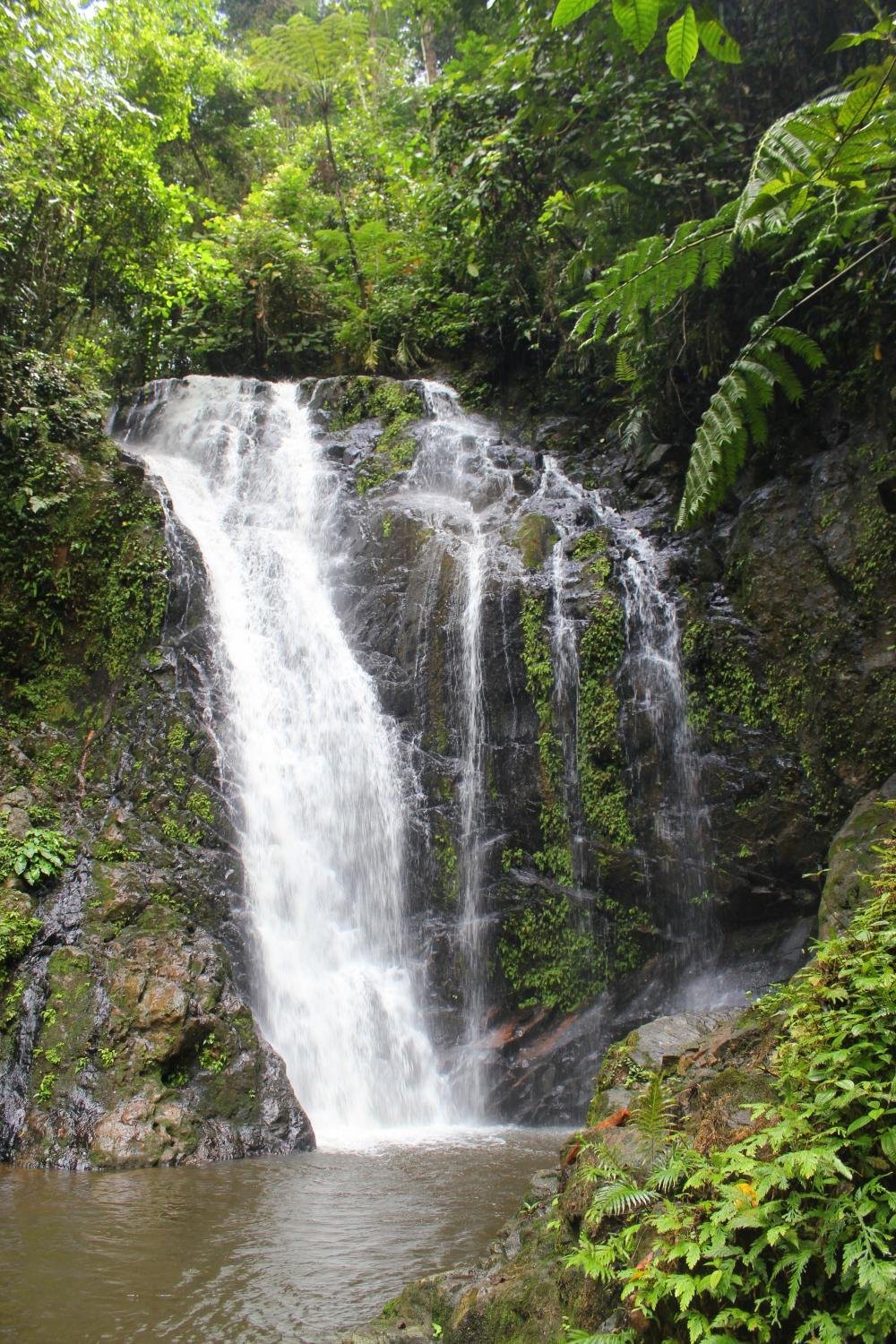Taman Bukit Tawau — galeri 2