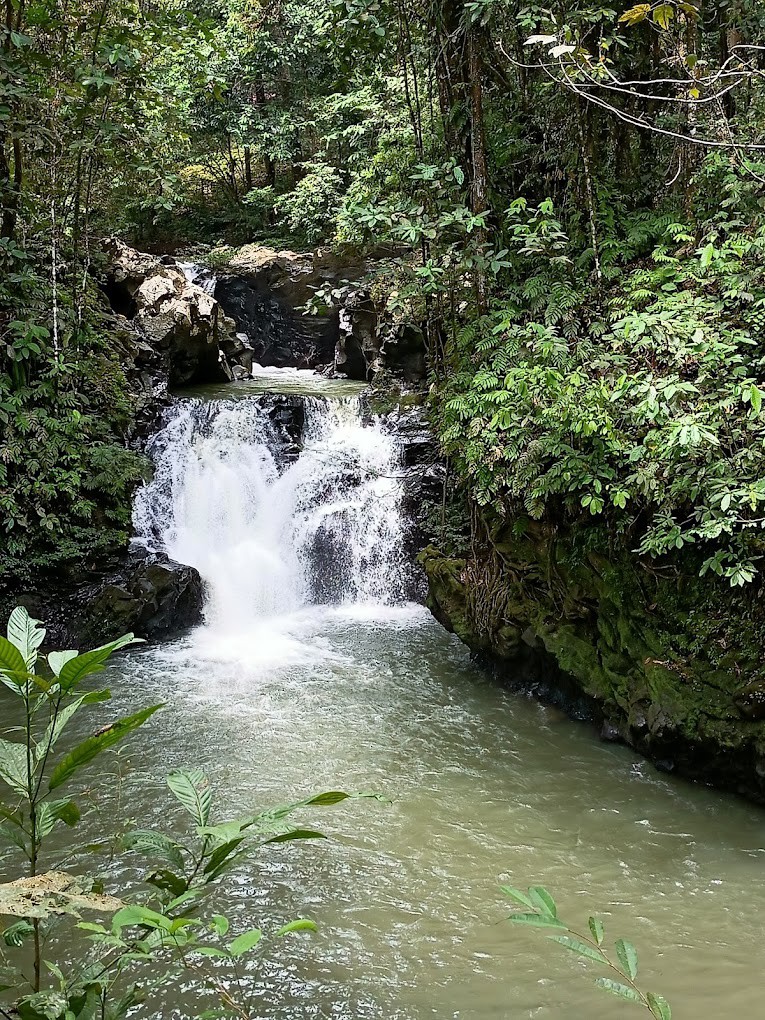 Gambar galeri Taman Bukit Tawau