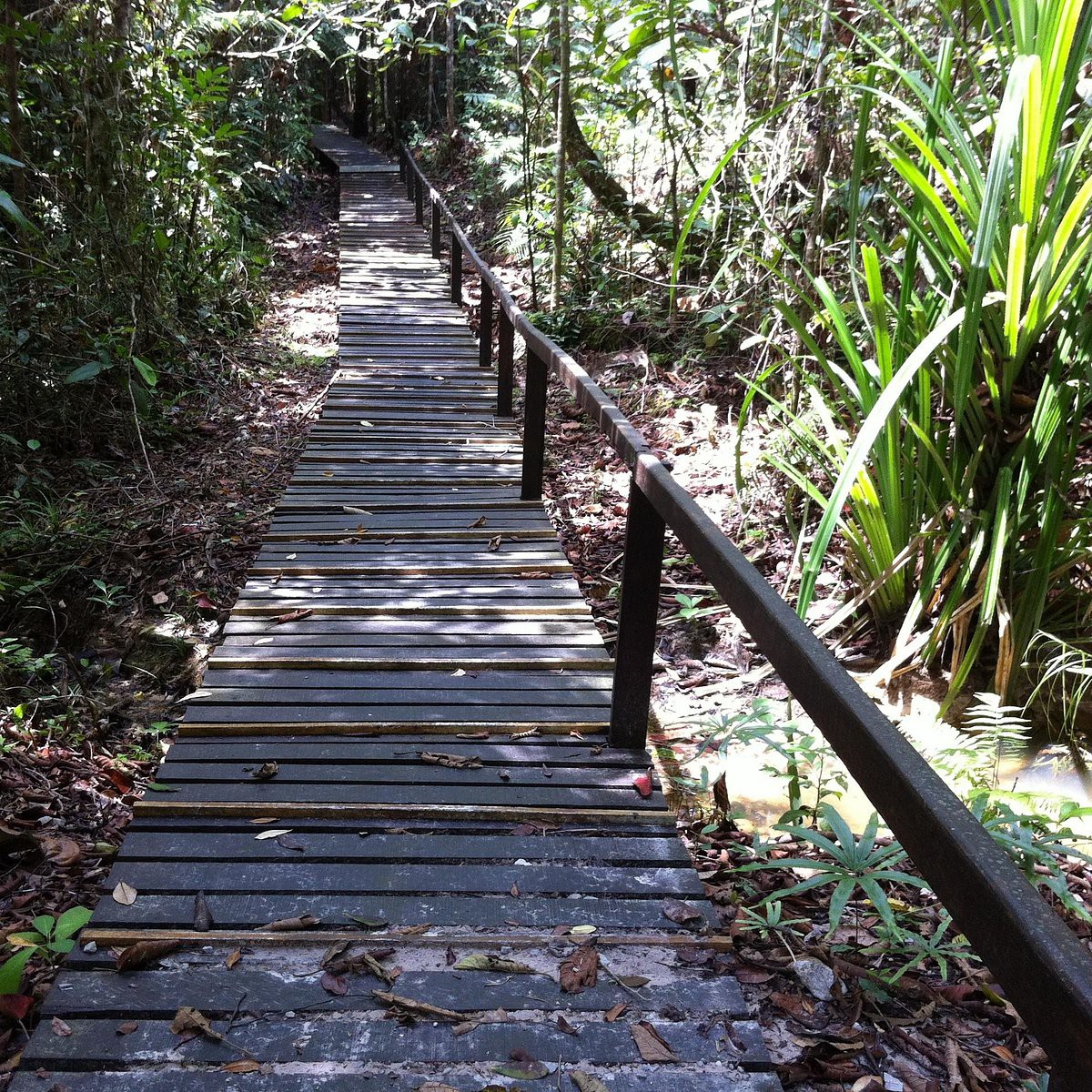 Matang Wildlife Centre — galeri 3