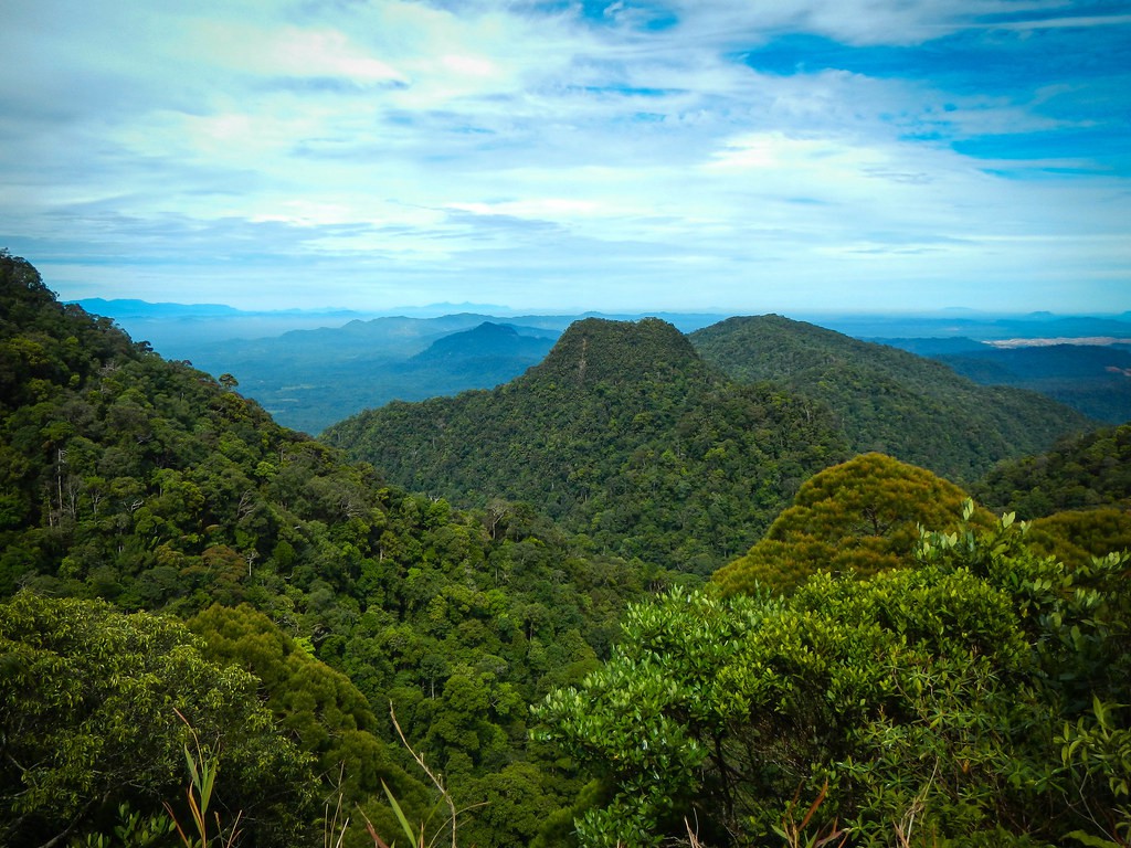 Kubah National Park — galeri 4