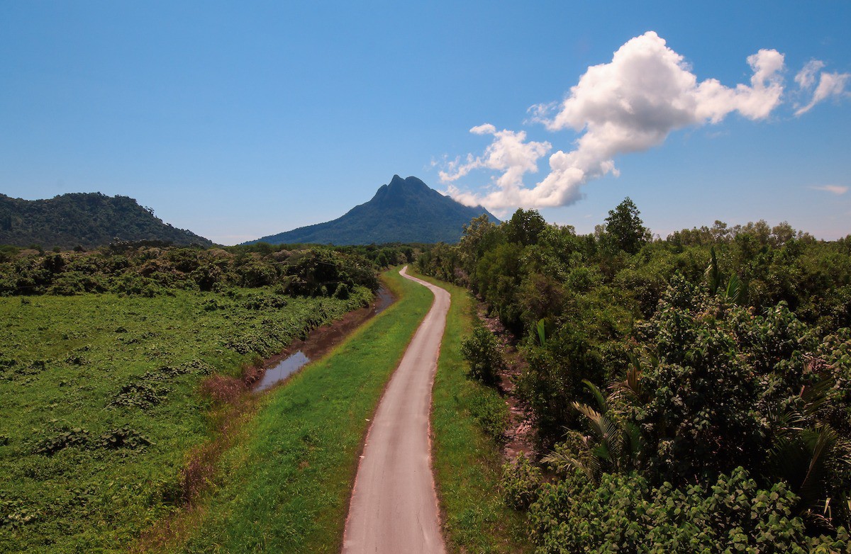 Gunung Santubong National Park — galeri 2