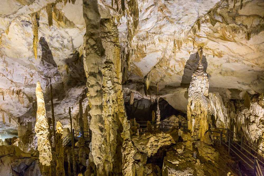 Wind Cave Nature Reserve — galeri 2