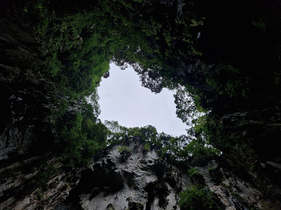 Wind Cave Nature Reserve — galeri 4