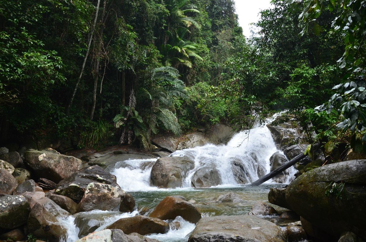 Gunung Gading National Park — galeri 4