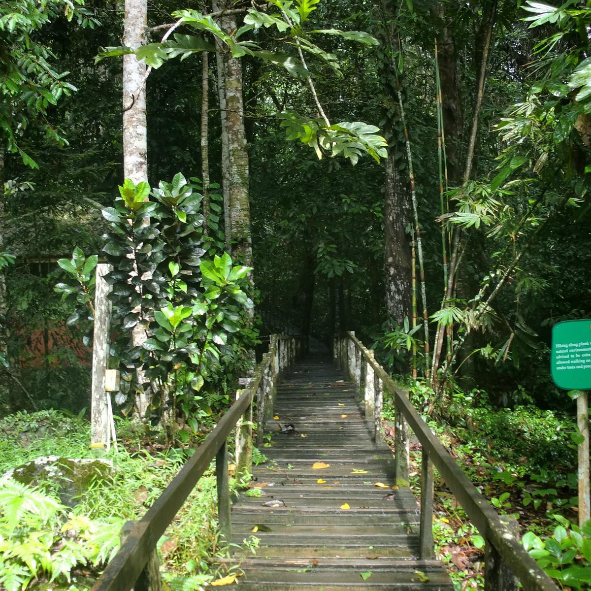 Gunung Gading National Park — galeri 2