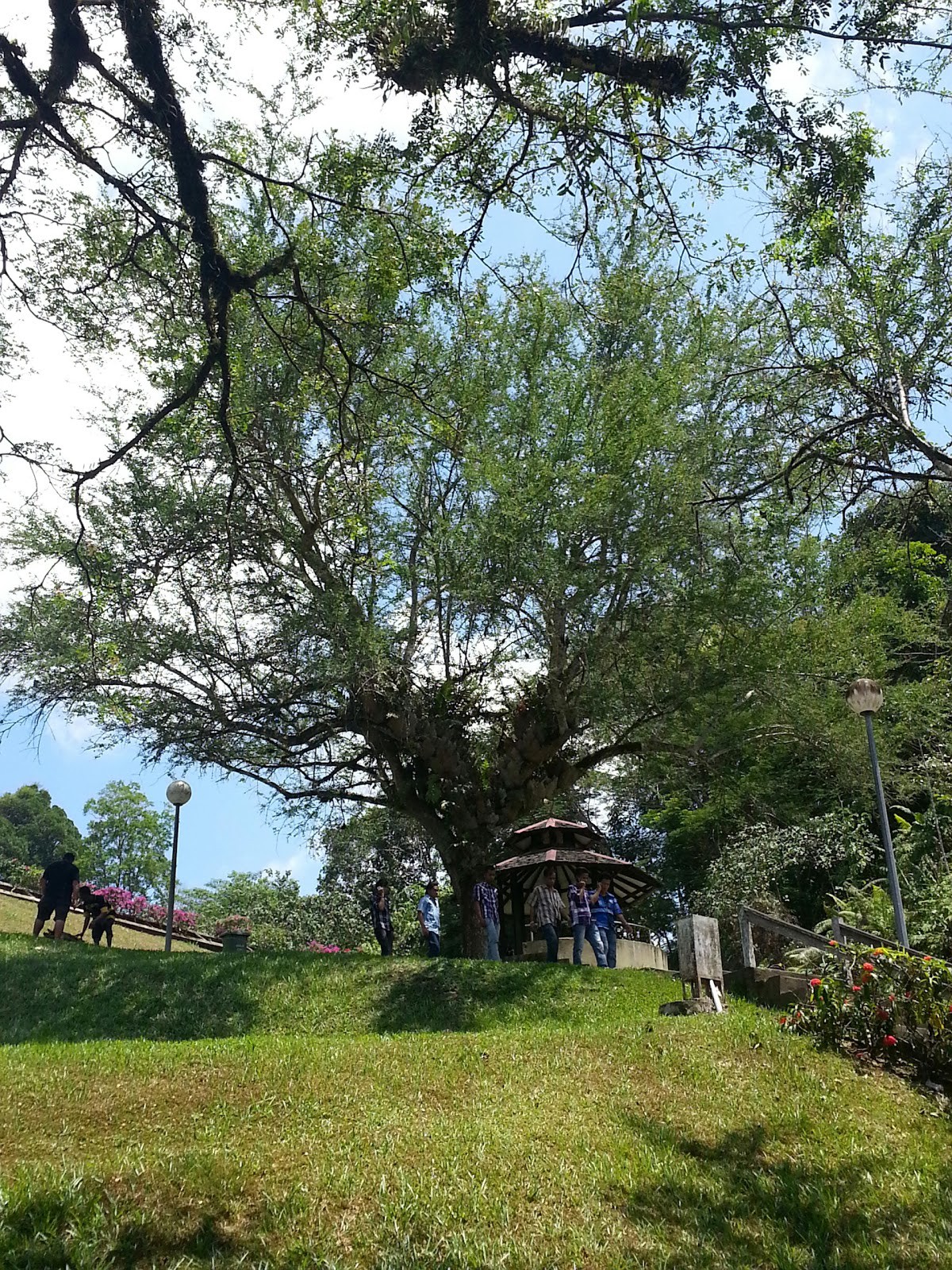 Taman Jubli Bukit Aup — galeri 3