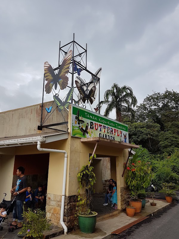 Taman Tumbina Bintulu — galeri 4