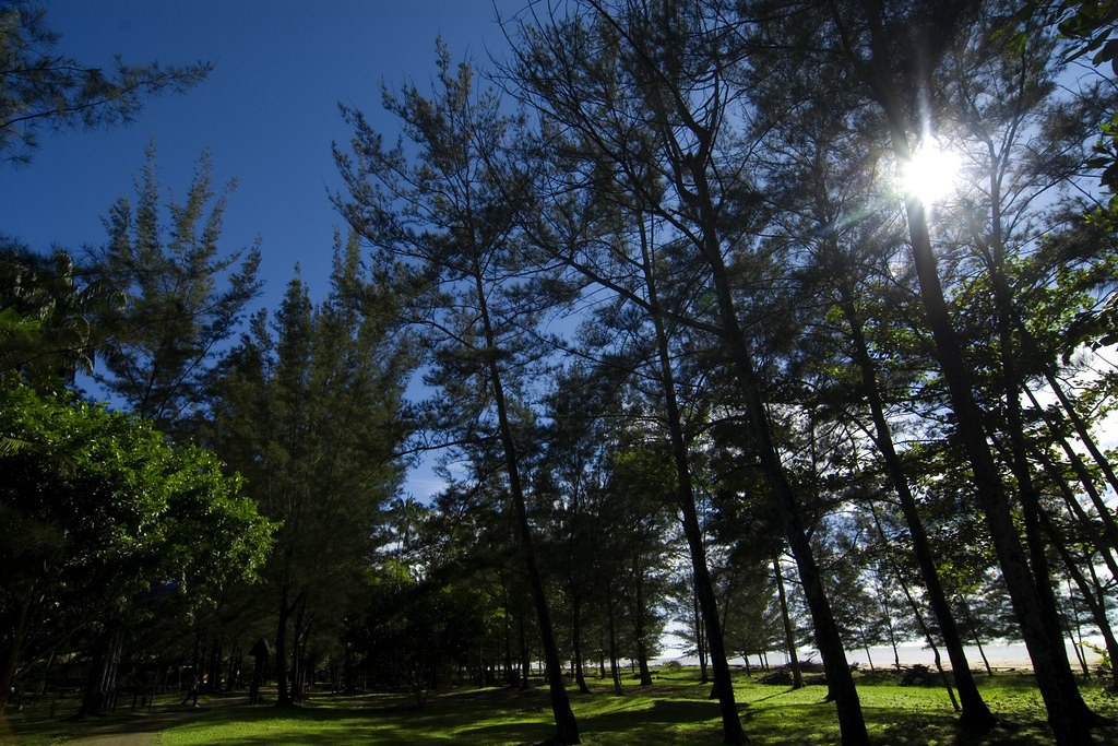 Similajau National Park — galeri 3
