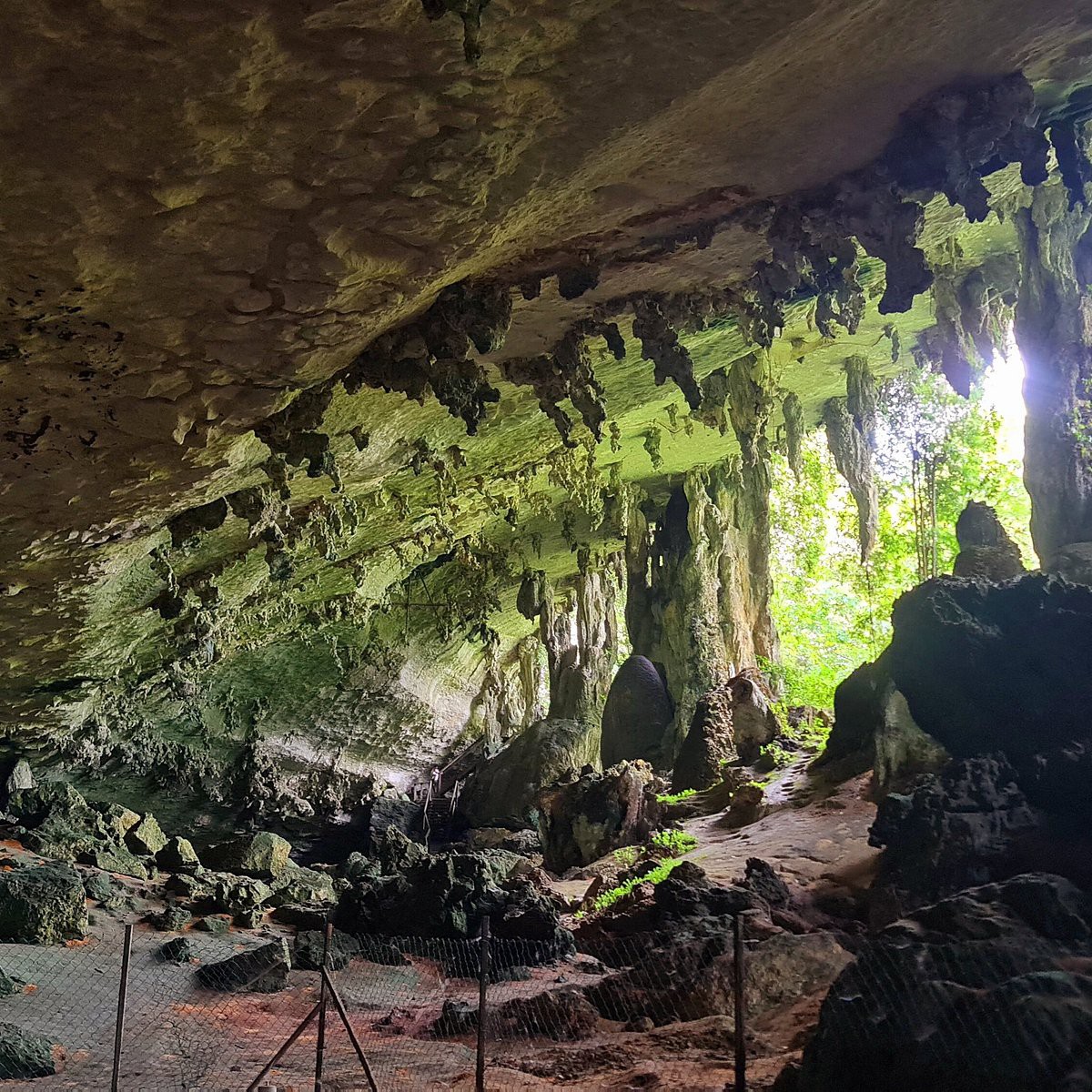 Niah National Park — galeri 3