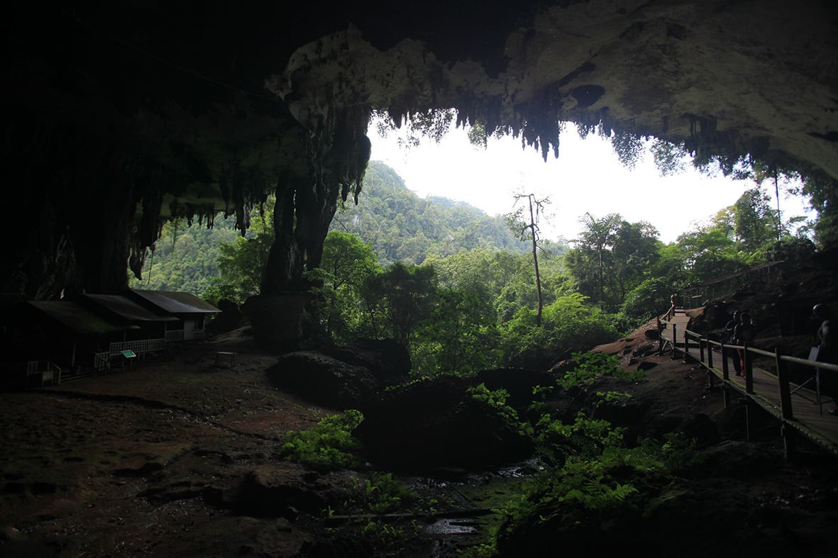 Niah National Park — galeri 4