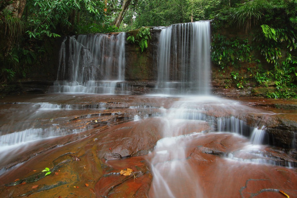 Lambir Hills National Park — galeri 4
