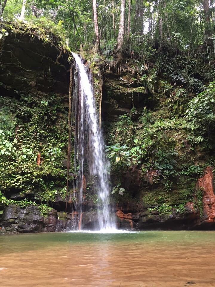 Lambir Hills National Park — galeri 2