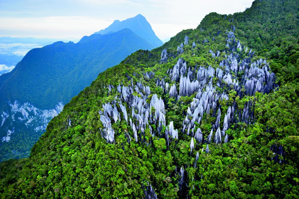 Gunung Mulu National Park — galeri 3