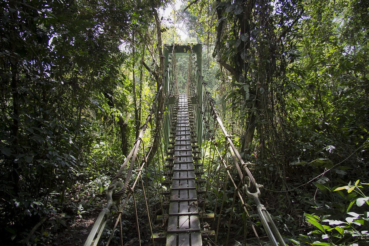 Gunung Mulu National Park — galeri 4