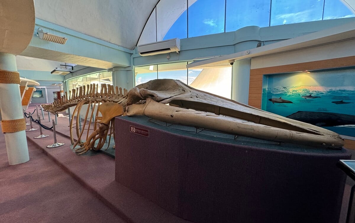 Muzium Marin Labuan — galeri 2