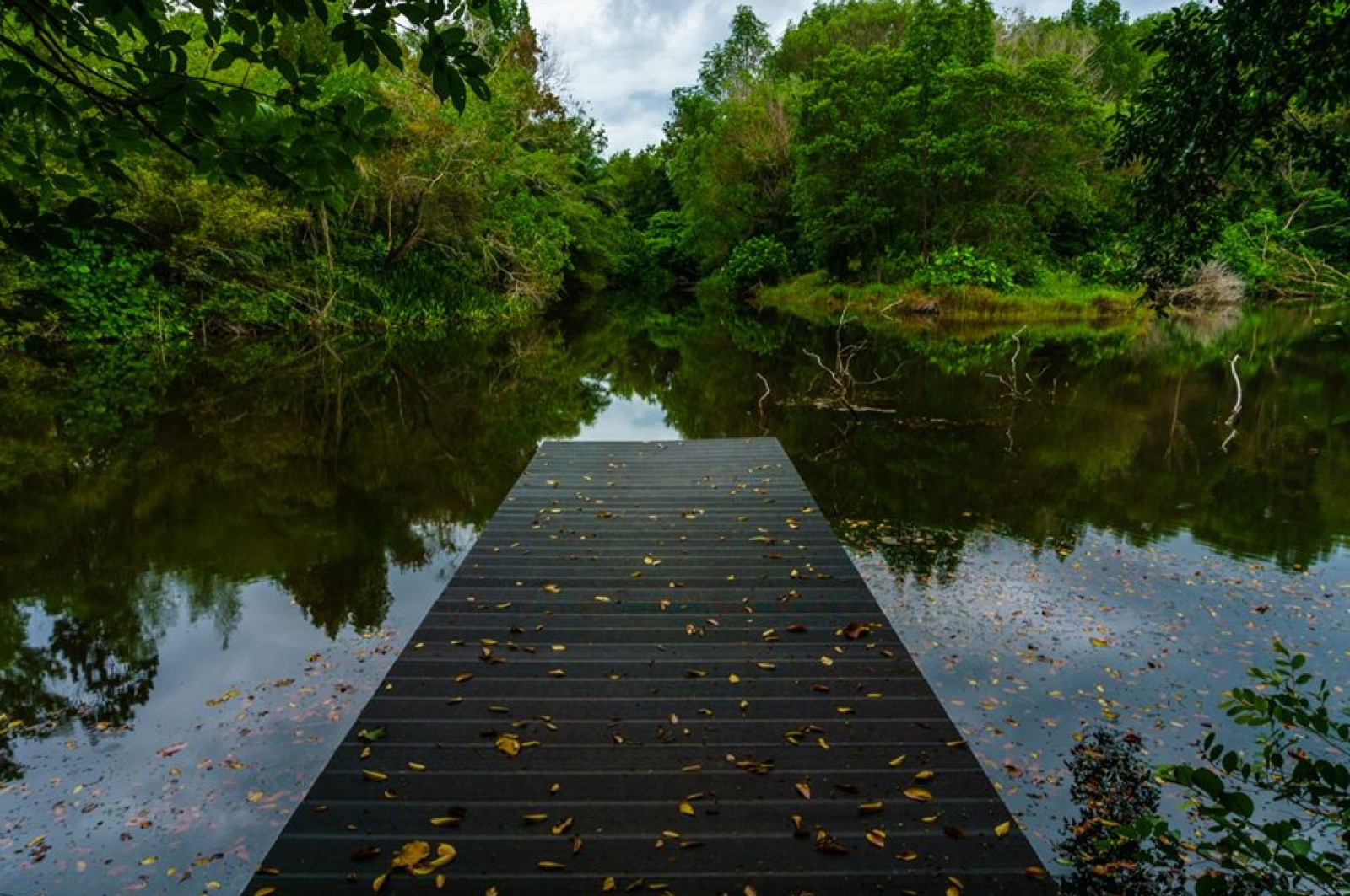 Taman Botani Labuan — galeri 2