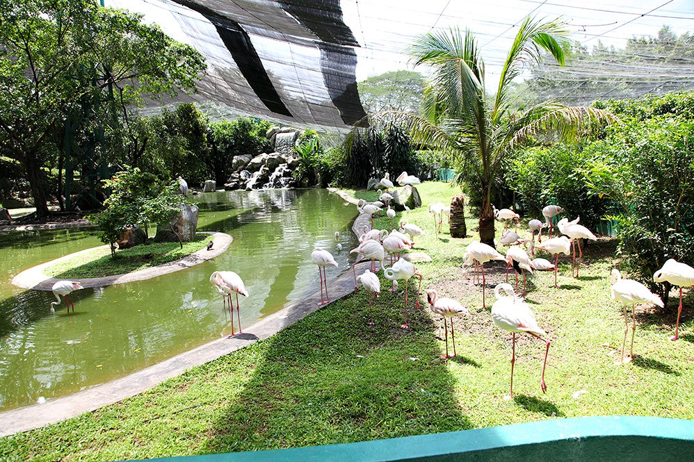 Taman Burung Labuan — galeri 4