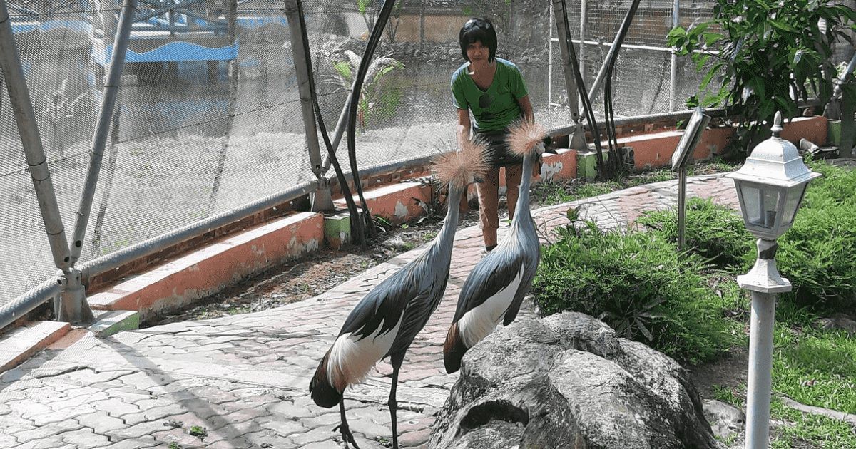 Taman Burung Labuan — galeri 2