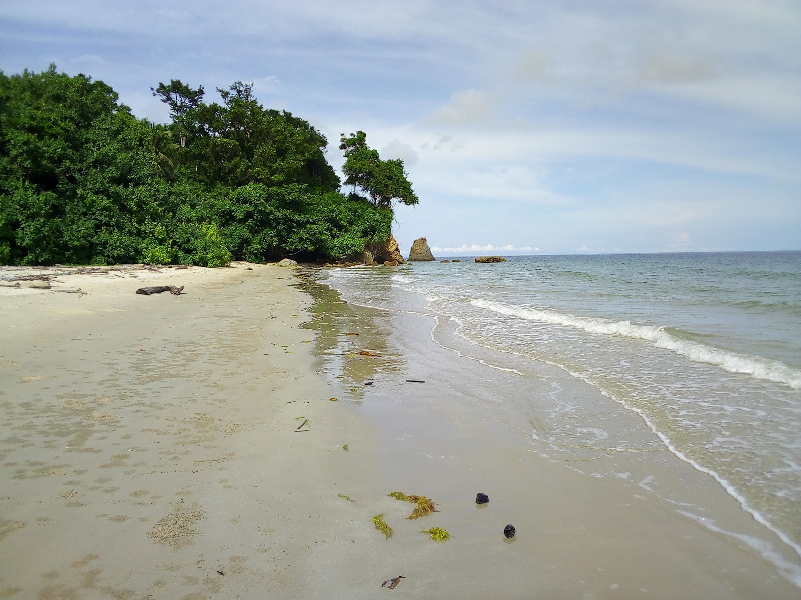 Pantai Pohon Batu — galeri 4
