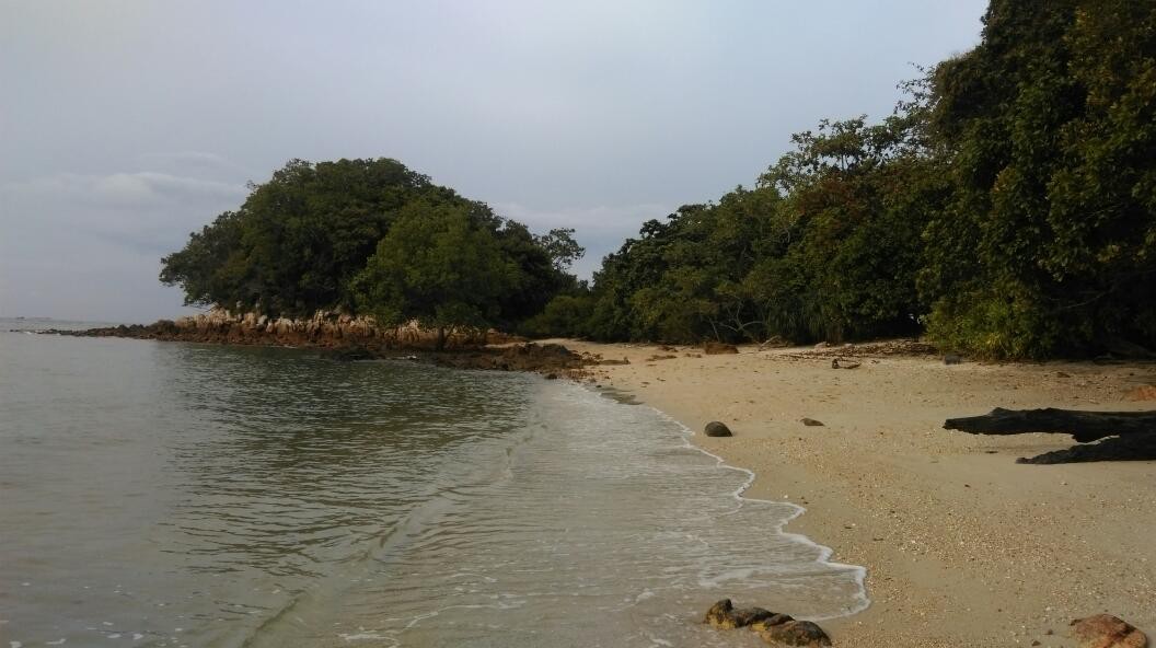 Tanjung Tuan Forest Reserve & Cape Rachado Lighthouse — galeri 3